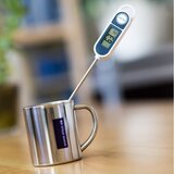 TFA Ardi insteekthermometer